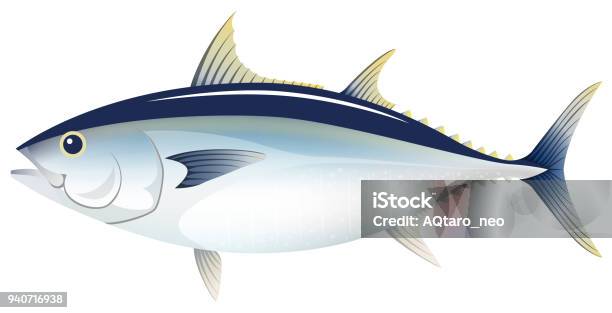 The Bluefin Tuna Isolated On The White Background Stock Illustration - Download Image Now