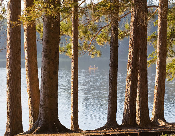 Lake with canoe viewed through trees stock photo