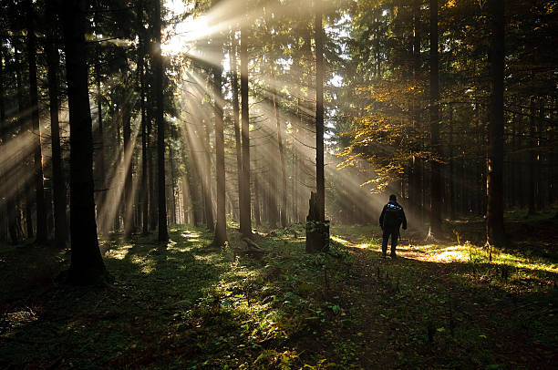 istock Man in sunlit autumn woods 94072248