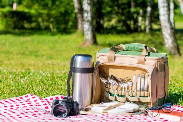 a thermos bottle with utensils, a thermos with tea and a camera on a tablecloth in the park