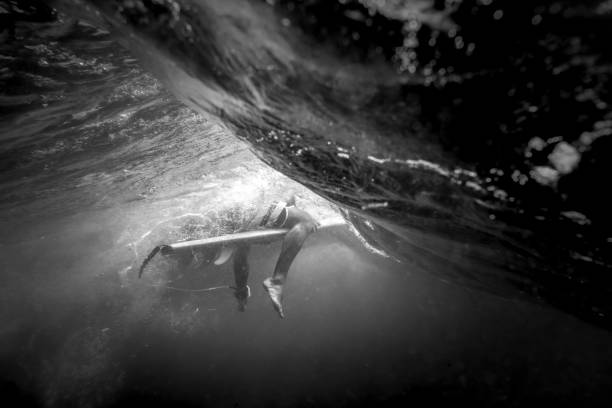 Underwater view of a surfer Black and white underwater photo of a surfer at Bondi Beach, Australia bondi beach photos stock pictures, royalty-free photos & images