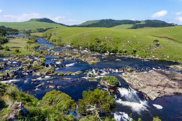 istock River crossing a wide pasture area in a clear sky day 940728580