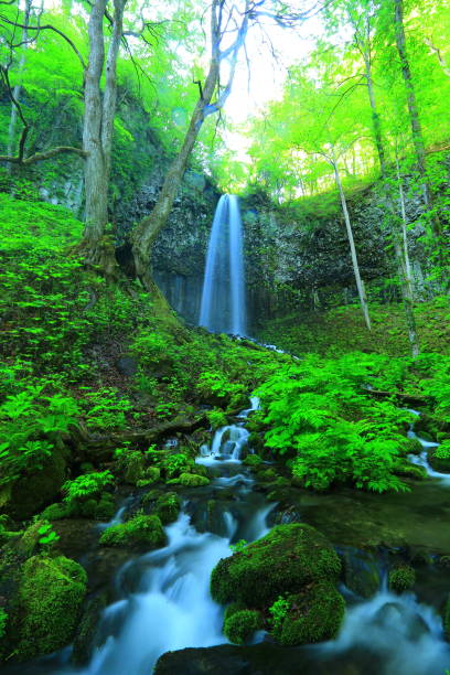 istock Oirase stream of summer 940731200