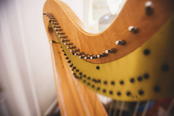 female musician harpist playing harp during symphonic concert, with other musicians in the background, close up hands of the woman playing arf. - plucking an instrument imagens e fotografias de stock