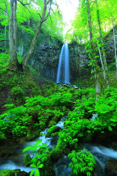 istock Oirase stream of summer 940733654
