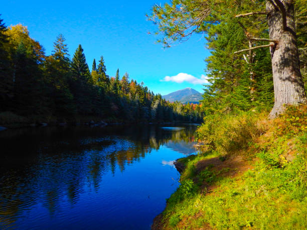 istock View of White Mountain from water's edge 940736400