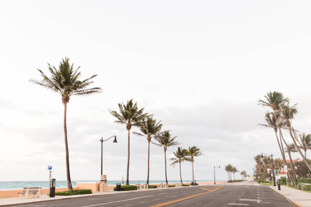 istock Palm Trees on Palm Beach, Florida 940741542