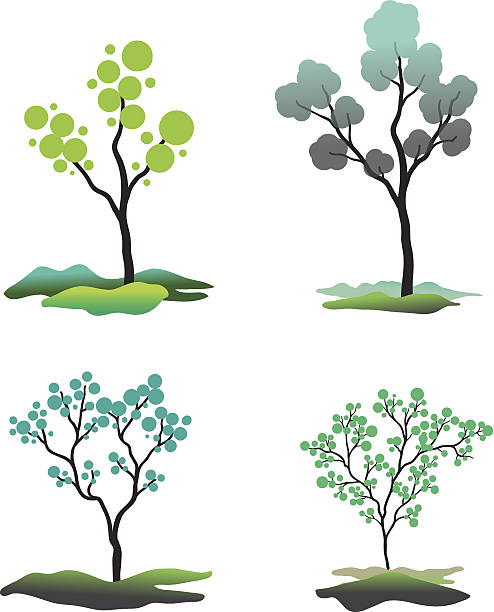 Trees D vector art illustration