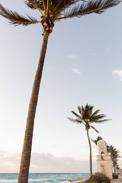 istock Worth Avenue Clock Tower on Palm Beach, FL 940756198