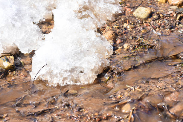 istock spring melts snow the streams of water run along the ground 940767554