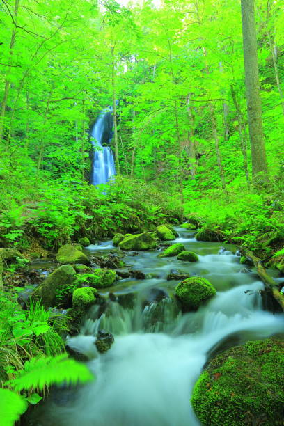 istock Oirase stream of summer 940767846