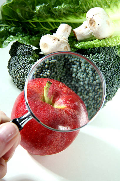 istock Magnifying glass inspecting produce. Apple, broccoli, lettuce, mushrooms. Quality control. 94077344