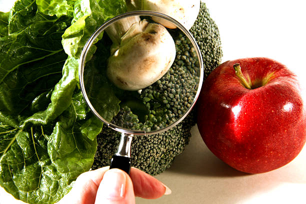 istock Magnifying glass inspecting produce. Broccoli, lettuce, tomato, mushroom. 94077346