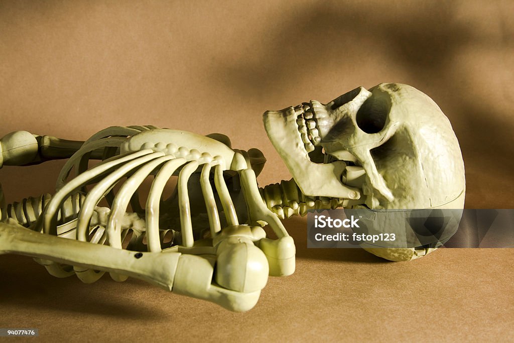 Skeleton - Foto de stock de Acostado libre de derechos
