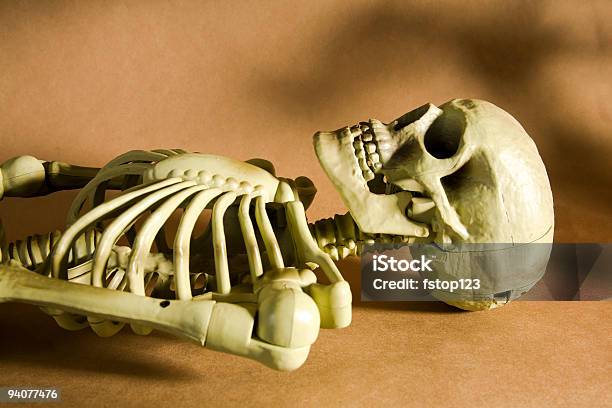 Skeleton Foto de stock y más banco de imágenes de Acostado - Acostado, Anatomía, Articulación humana