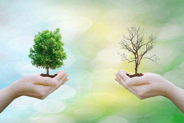 istock Ecology concept human hands holding big plant tree fresh and tree arid with world environment 940775806
