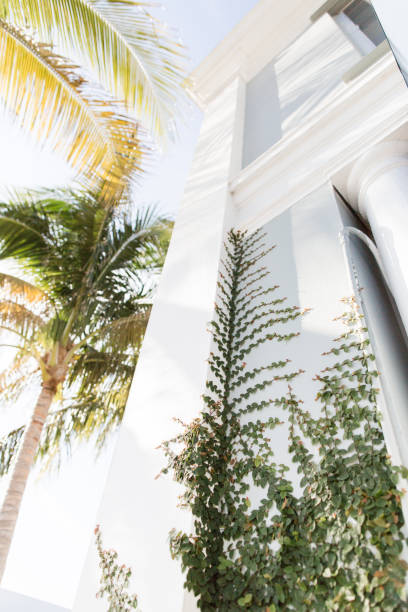 istock Palm Beach Shopping Center 940775854