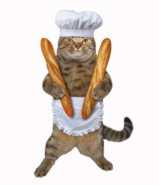 istock Cat cook with a french bread 940799776
