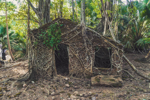 istock Abandoned colonial architecture covered with big tree roots at Ross island 940801774