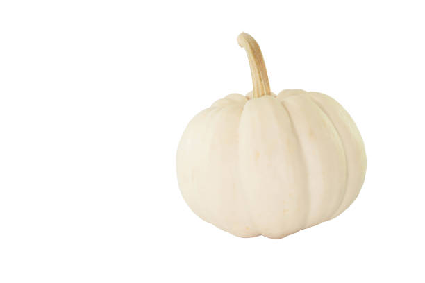 istock Single Little of white pumpkin on white background 940814100