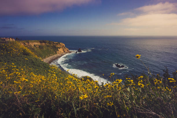 istock Rancho Palos Verdes Super Bloom 940817862