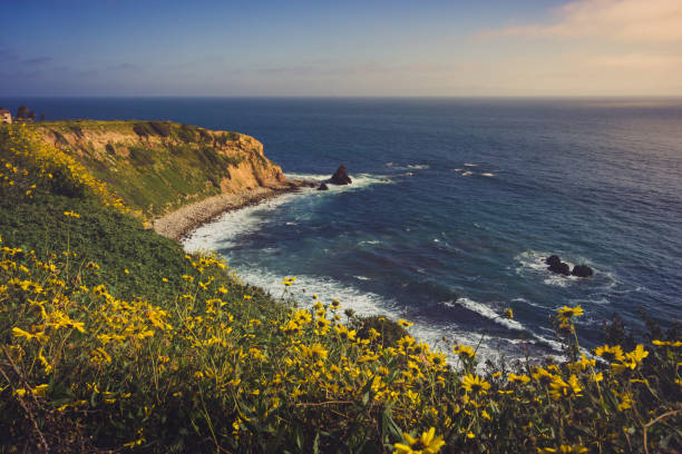 istock Rancho Palos Verdes Super Bloom 940817868