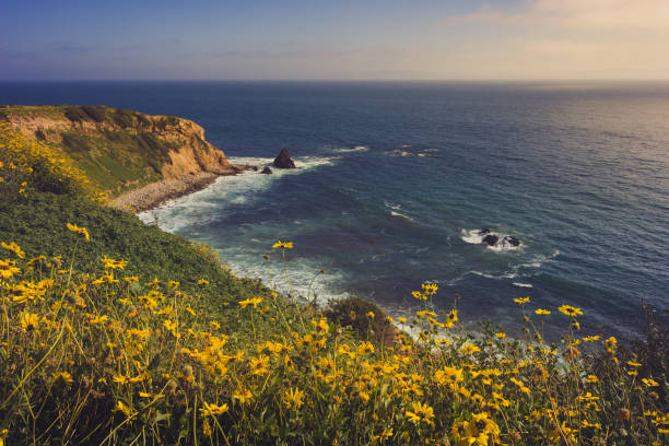 istock Rancho Palos Verdes Super Bloom 940817870