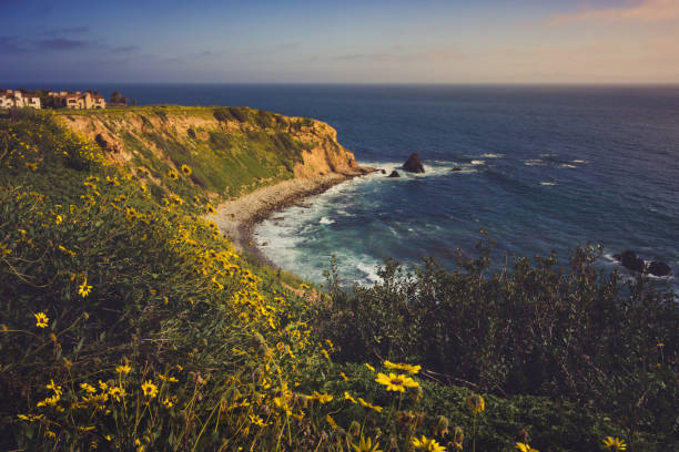 istock Rancho Palos Verdes Super Bloom 940817874