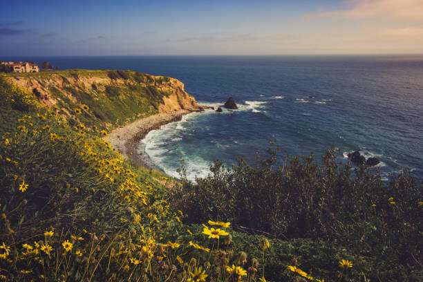 istock Rancho Palos Verdes Super Bloom 940817878