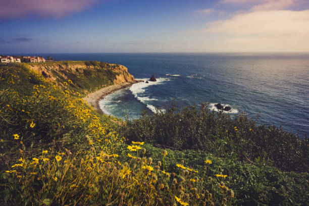 istock Rancho Palos Verdes Super Bloom 940817880