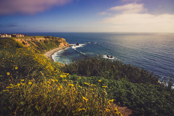 istock Rancho Palos Verdes Super Bloom 940817882