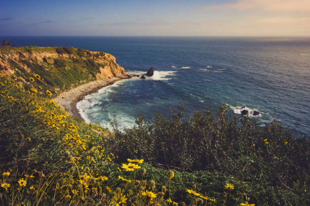 istock Rancho Palos Verdes Super Bloom 940817884