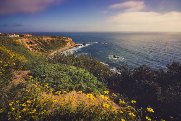 istock Rancho Palos Verdes Super Bloom 940817888