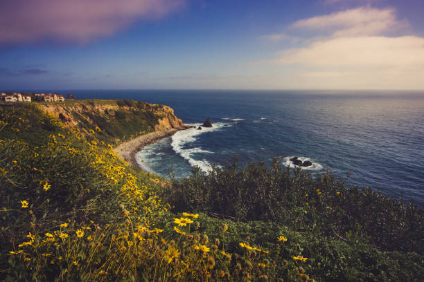 Rancho Palos Verdes Super Bloom