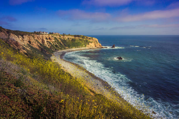 istock Rancho Palos Verdes Super Bloom 940817908