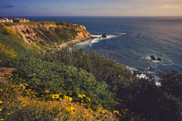 istock Rancho Palos Verdes Super Bloom 940817912