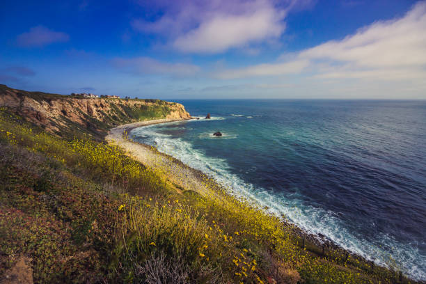 istock Rancho Palos Verdes Super Bloom 940817926