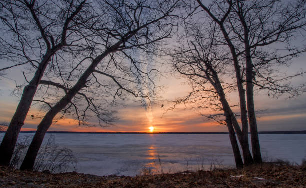 istock West Pine Drive March Sunrise 940818284