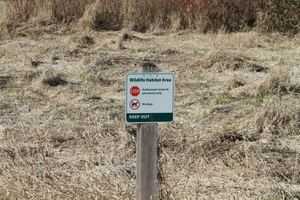 istock A sign in the middle of a meadow