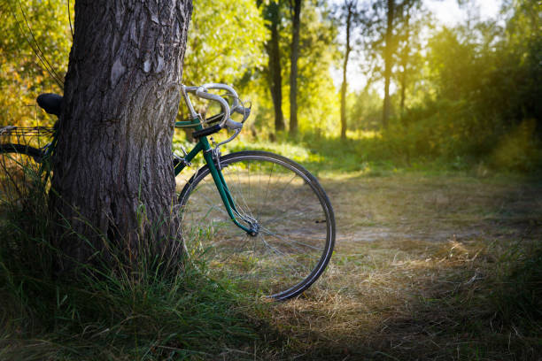 vieux vélo de sport vert dans la forêt - bicycle broken old chain photos et images de collection