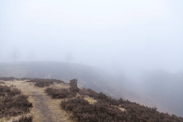 istock hills with grass and heather in winter with fog 940841000