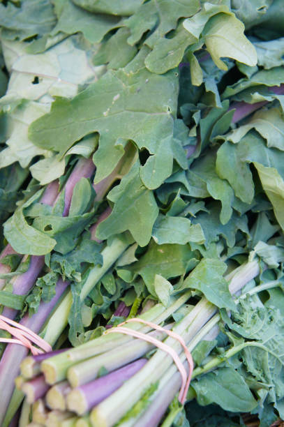 istock Perpetual kale cabbage or brassica oleracea ramosa green plant 940859834