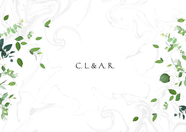 зеленые листья на белом мраморном фоне - flower bed stock illustrations