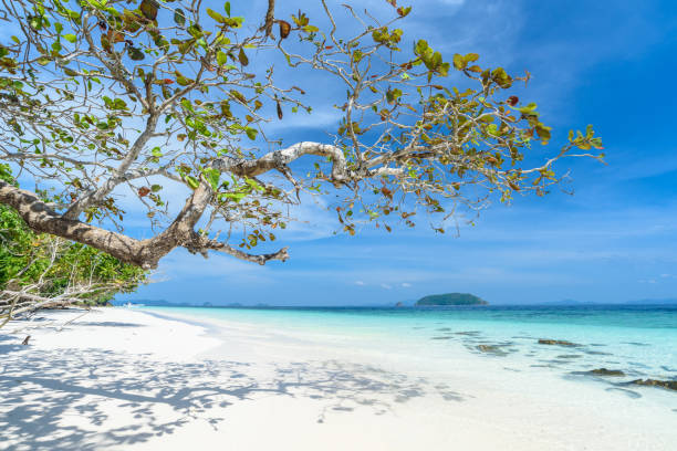 istock Beautiful beach, seascape,clear water,summer vacation 940885098