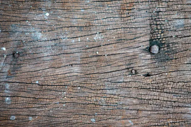 Wooden texture. Wood textured background.Old wooden planks