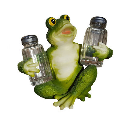 Support frog for salt and pepper