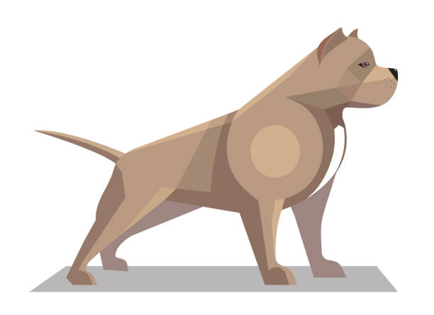 Pitbull minimalist image Pitbull minimalist image on a white background pit bull power stock illustrations