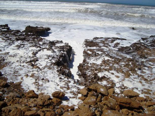 istock BEACH TAMARIS/MAREE HAUTE/ECUME/MOROCCO 940895276