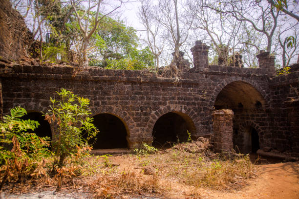 istock Jungle banyan tree roots covering old building wall 940898116
