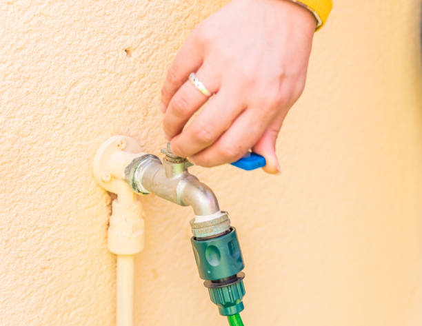 istock woman's hands watering the garden 940914560